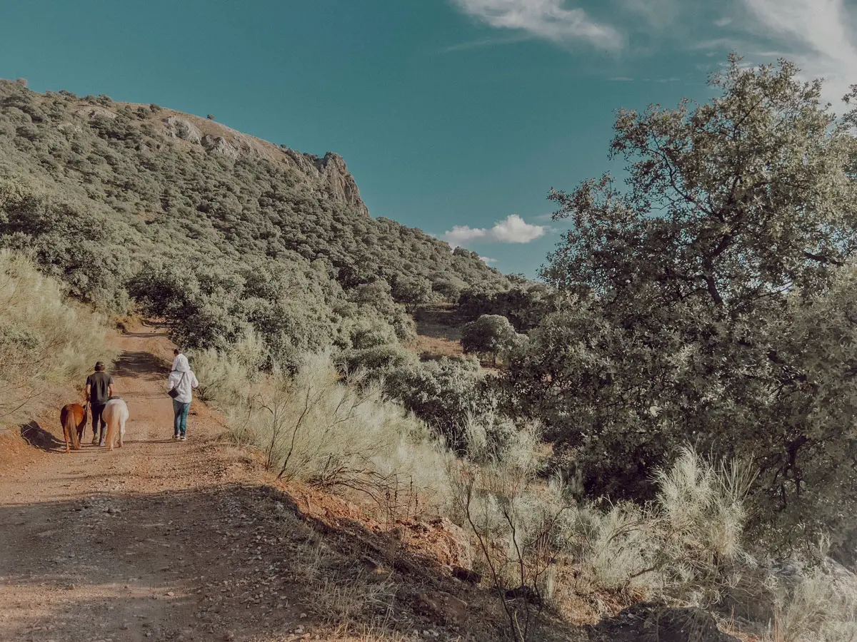 cocotravel travelbirds ladonaira 42