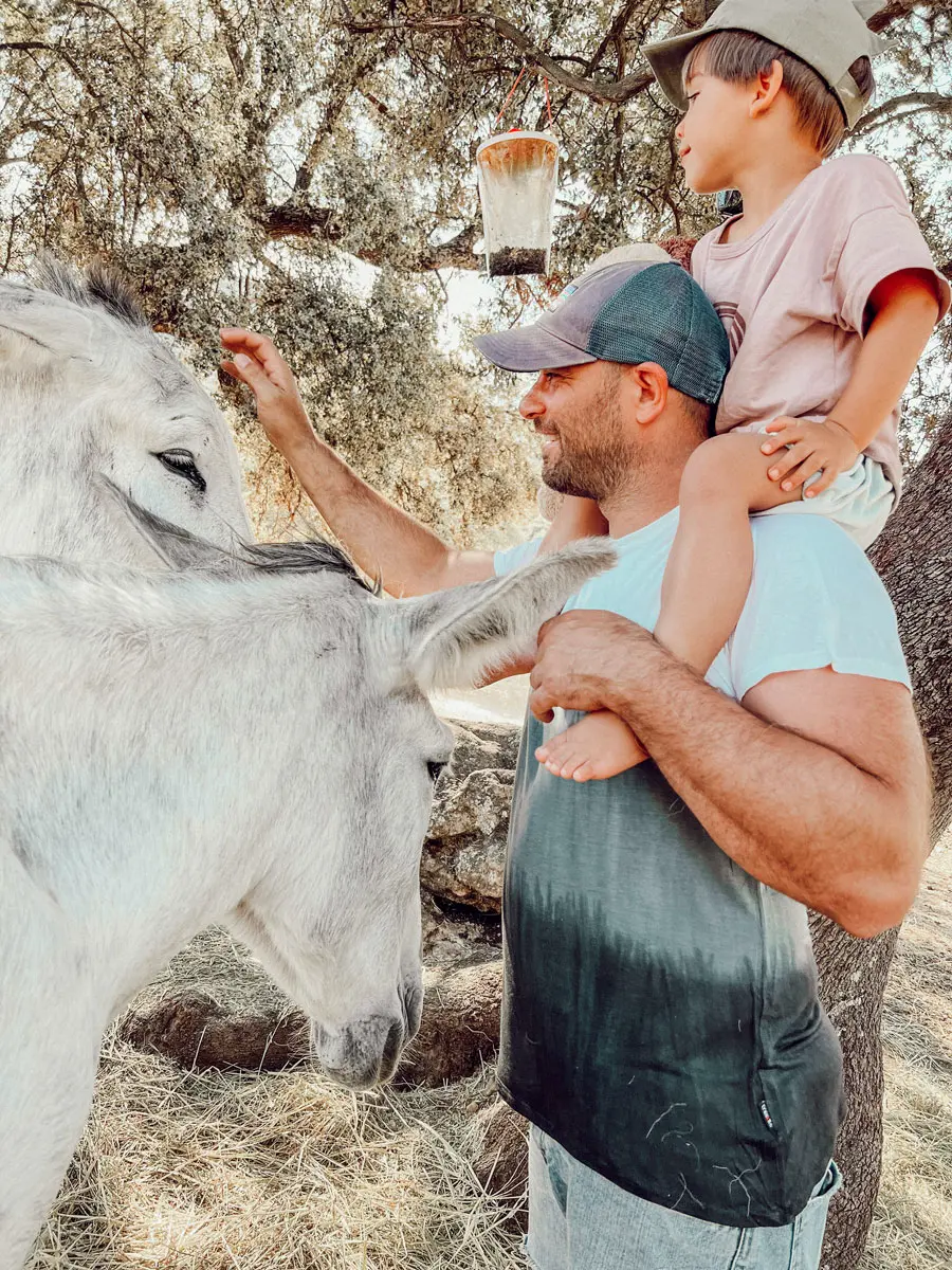 cocotravel travelbirds ladonaira 52