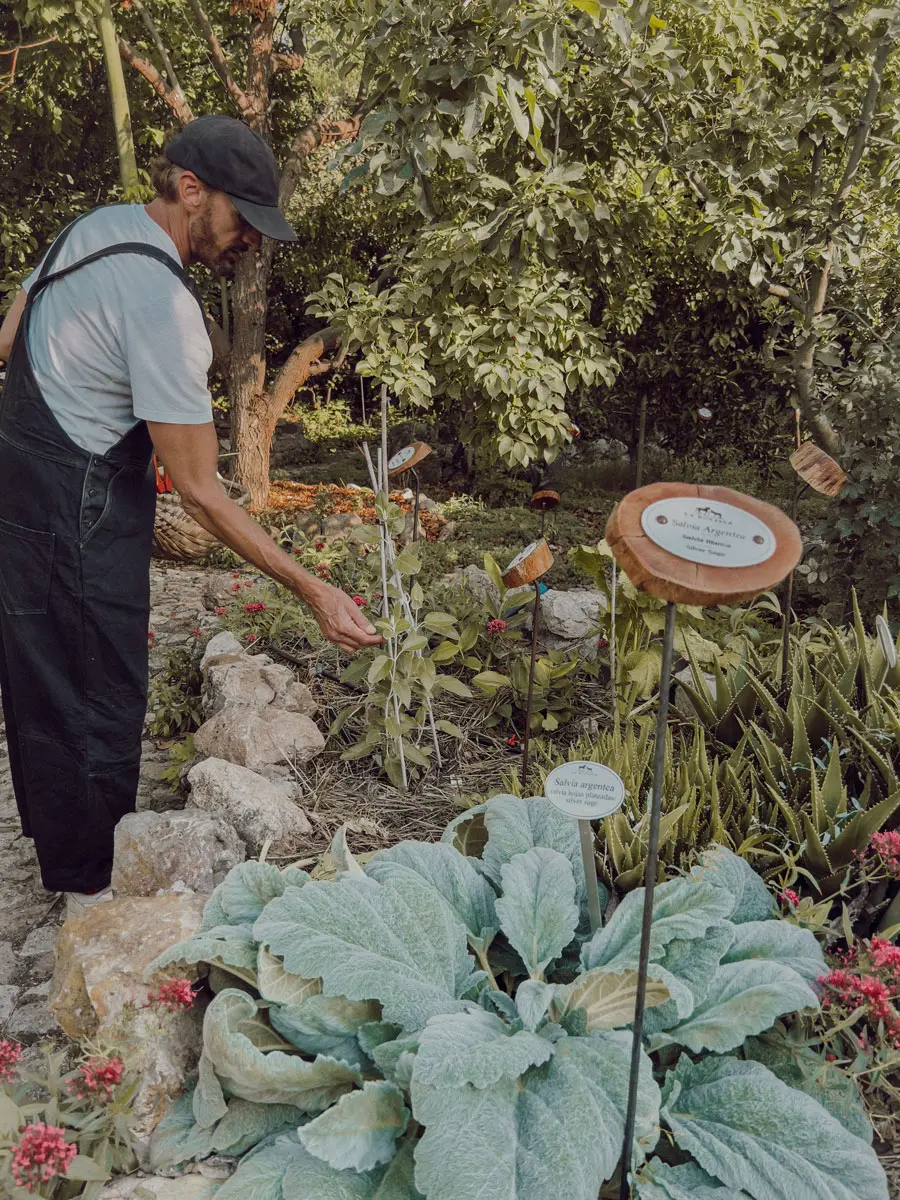 cocotravel travelbirds ladonaira 53