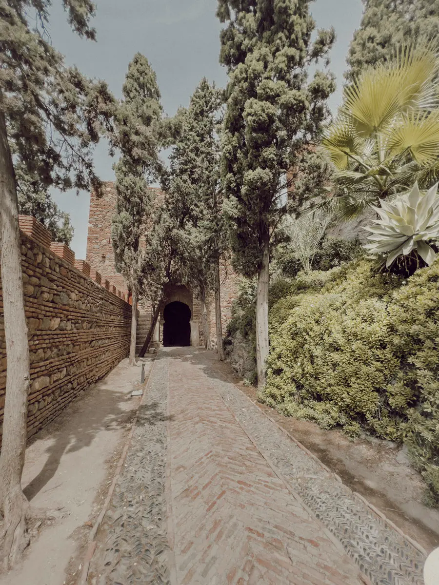 cocotravel travelbirds marbella 2