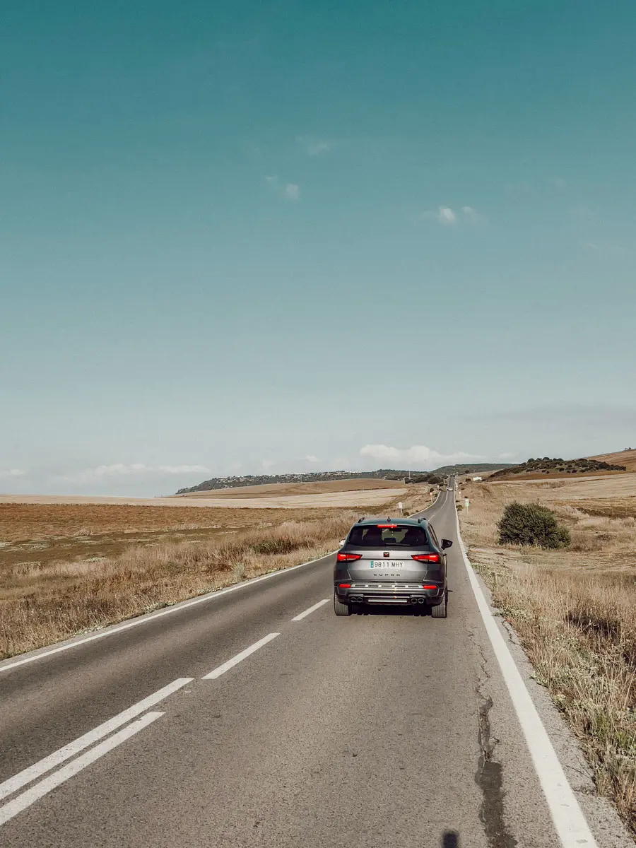 cocotravel travelbirds marbella 4