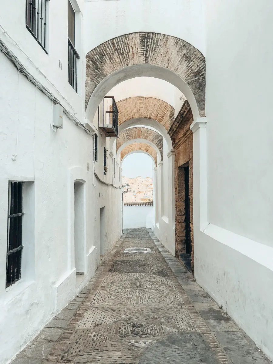 cocotravel travelbirds vejer 15