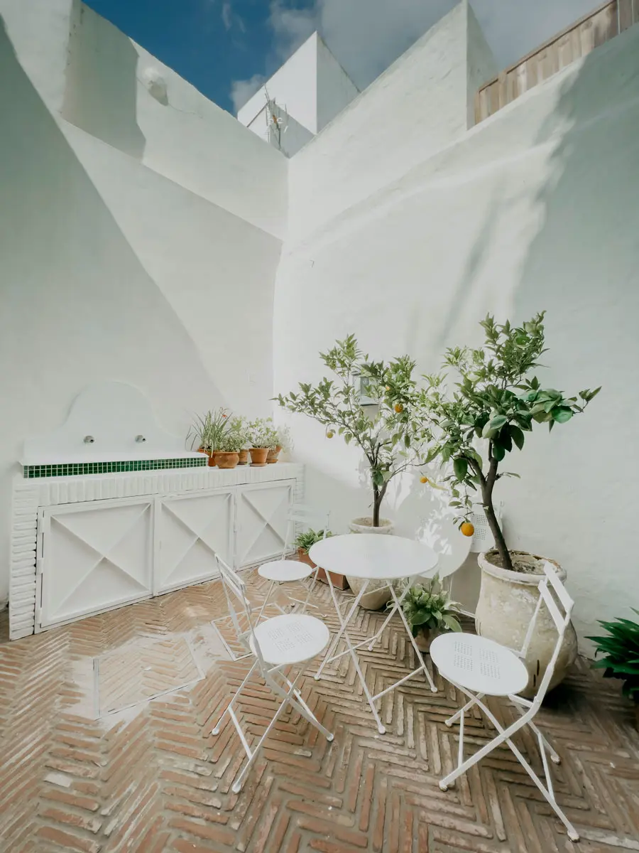 cocotravel travelbirds vejer 23