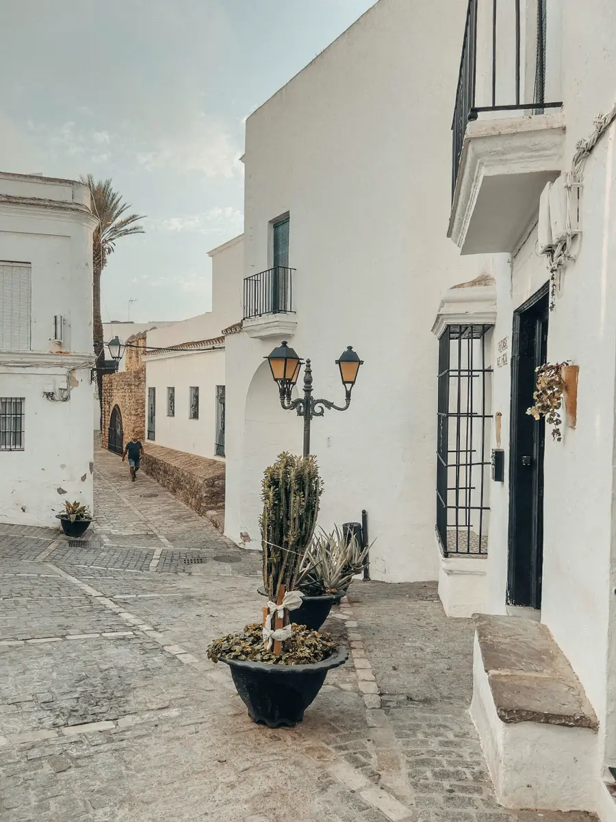 cocotravel travelbirds vejer 31