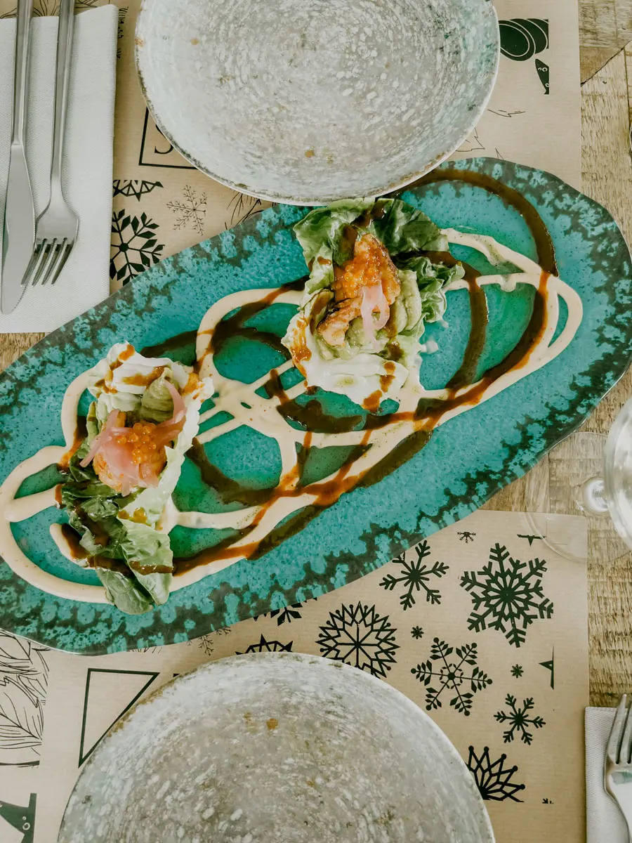 cocotravel travelbirds vejer 33