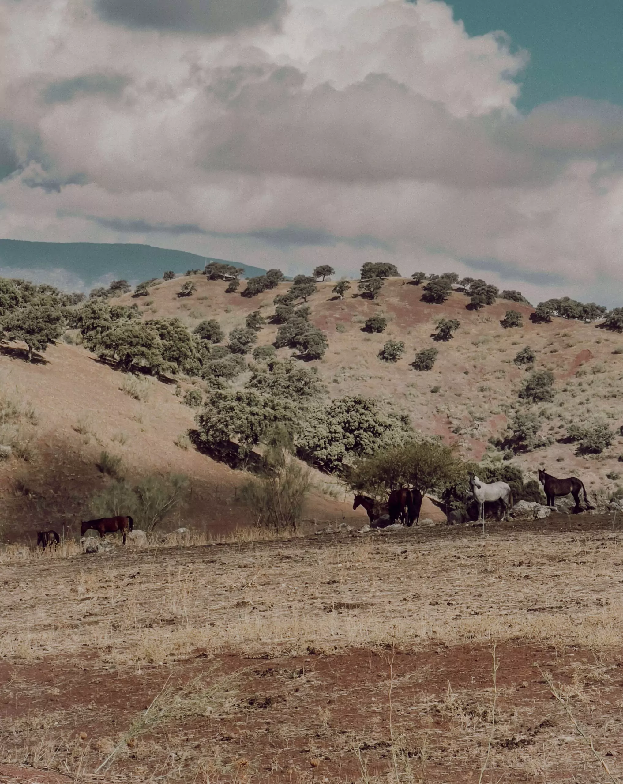 cocotravel travelbirds ladonaira 09 scaled