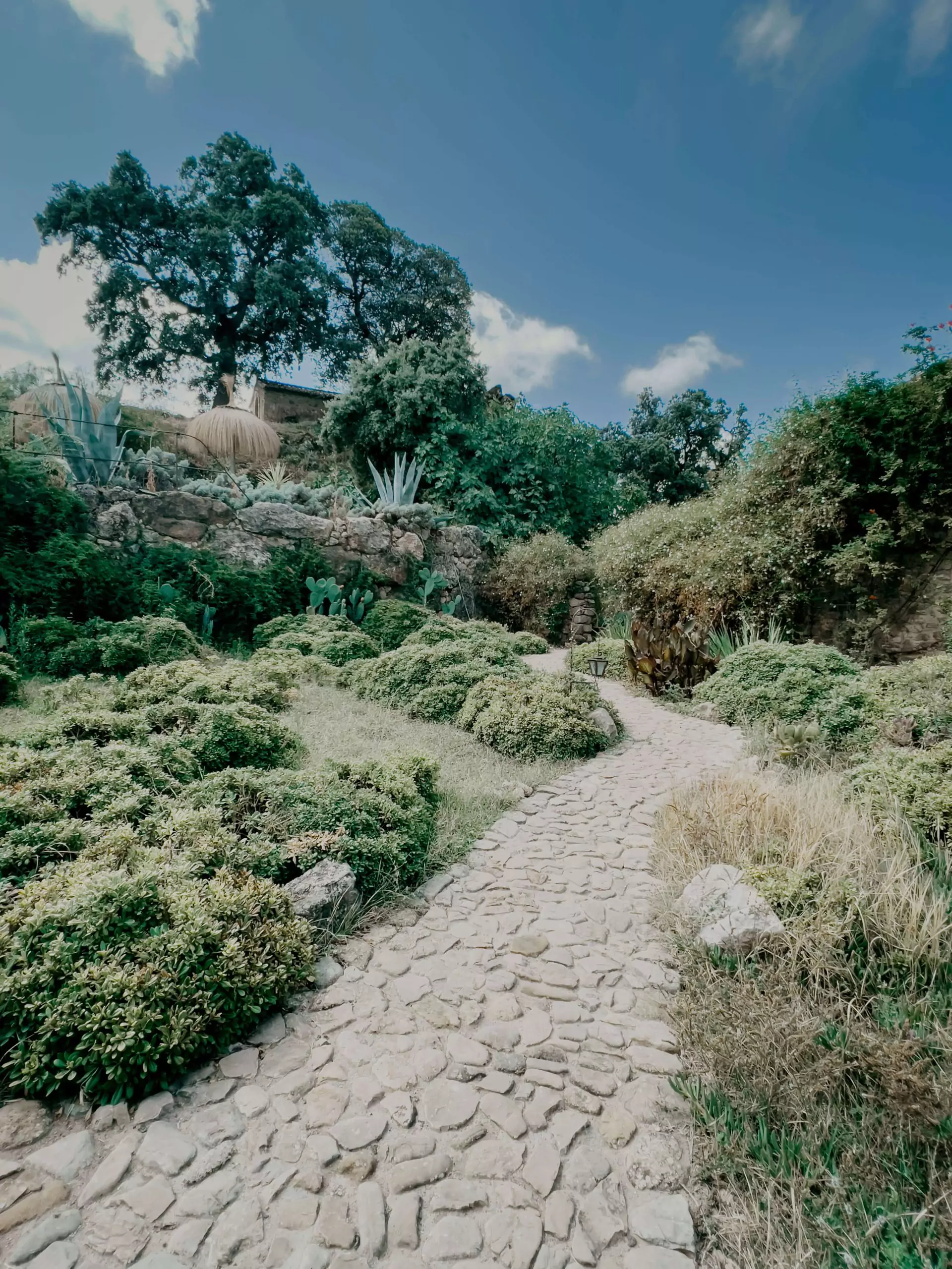 cocotravel travelbirds ladonaira 16 scaled