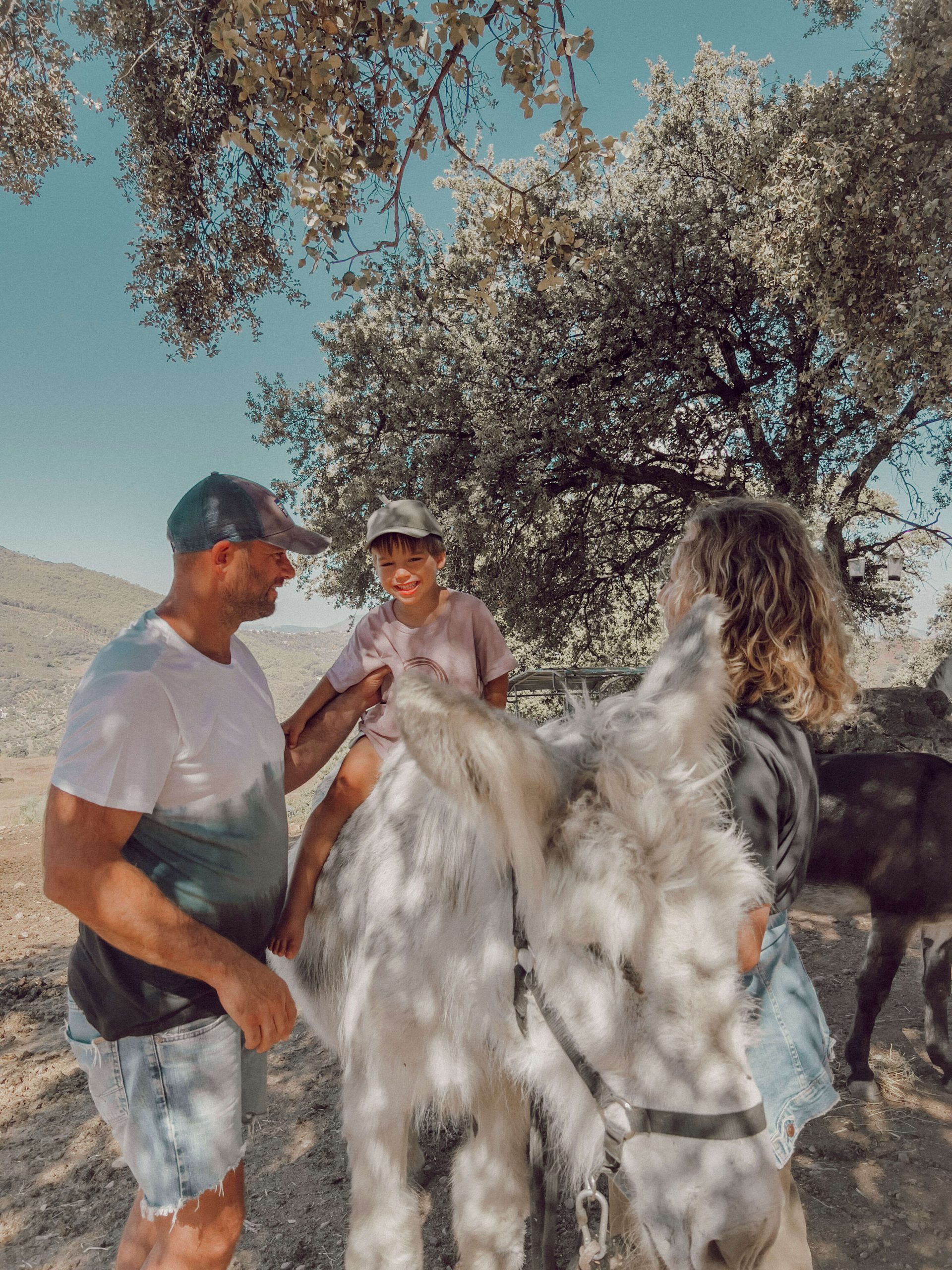 cocotravel travelbirds ladonaira 24 scaled cocotravel travelbirds ladonaira 24 scaled