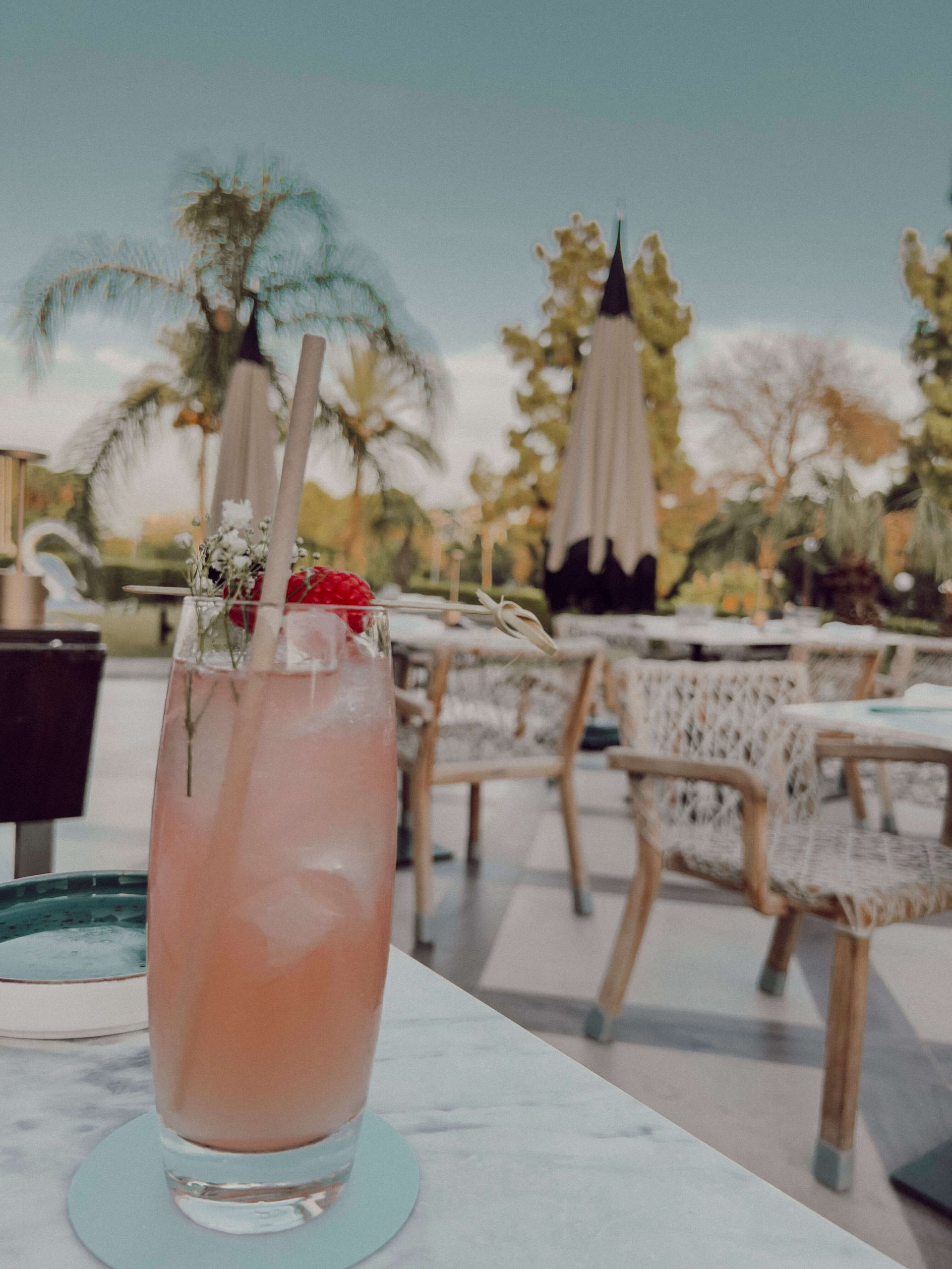 cocotravel travelbirds marbella 10 scaled cocotravel travelbirds marbella 10 scaled