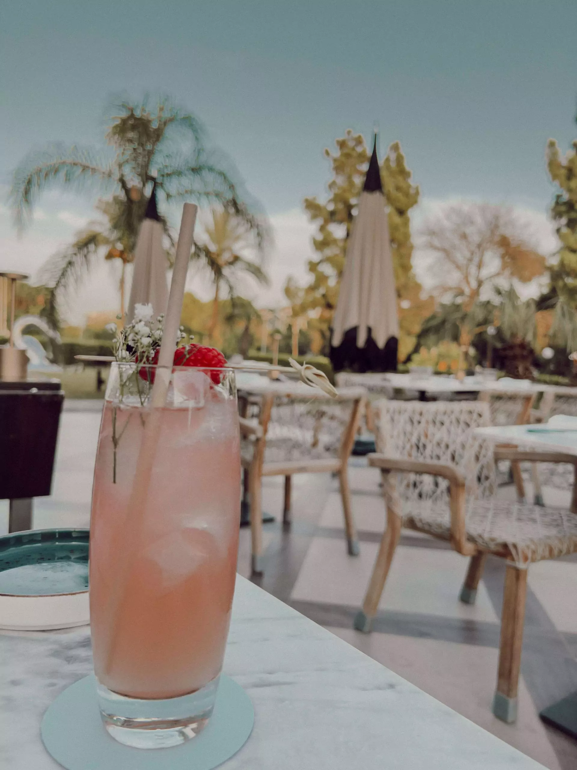 cocotravel travelbirds marbella 10 scaled