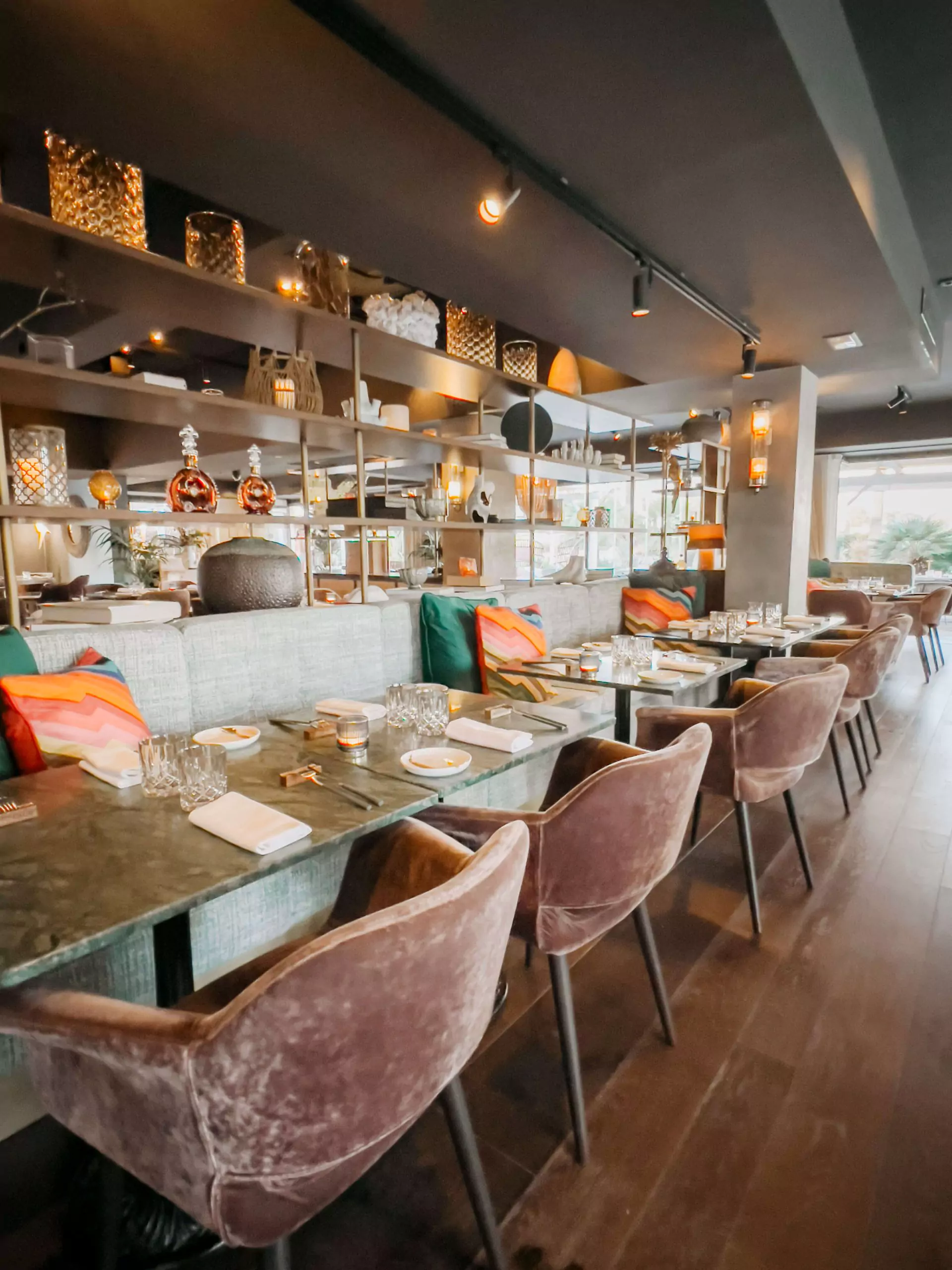 cocotravel travelbirds marbella 11 scaled