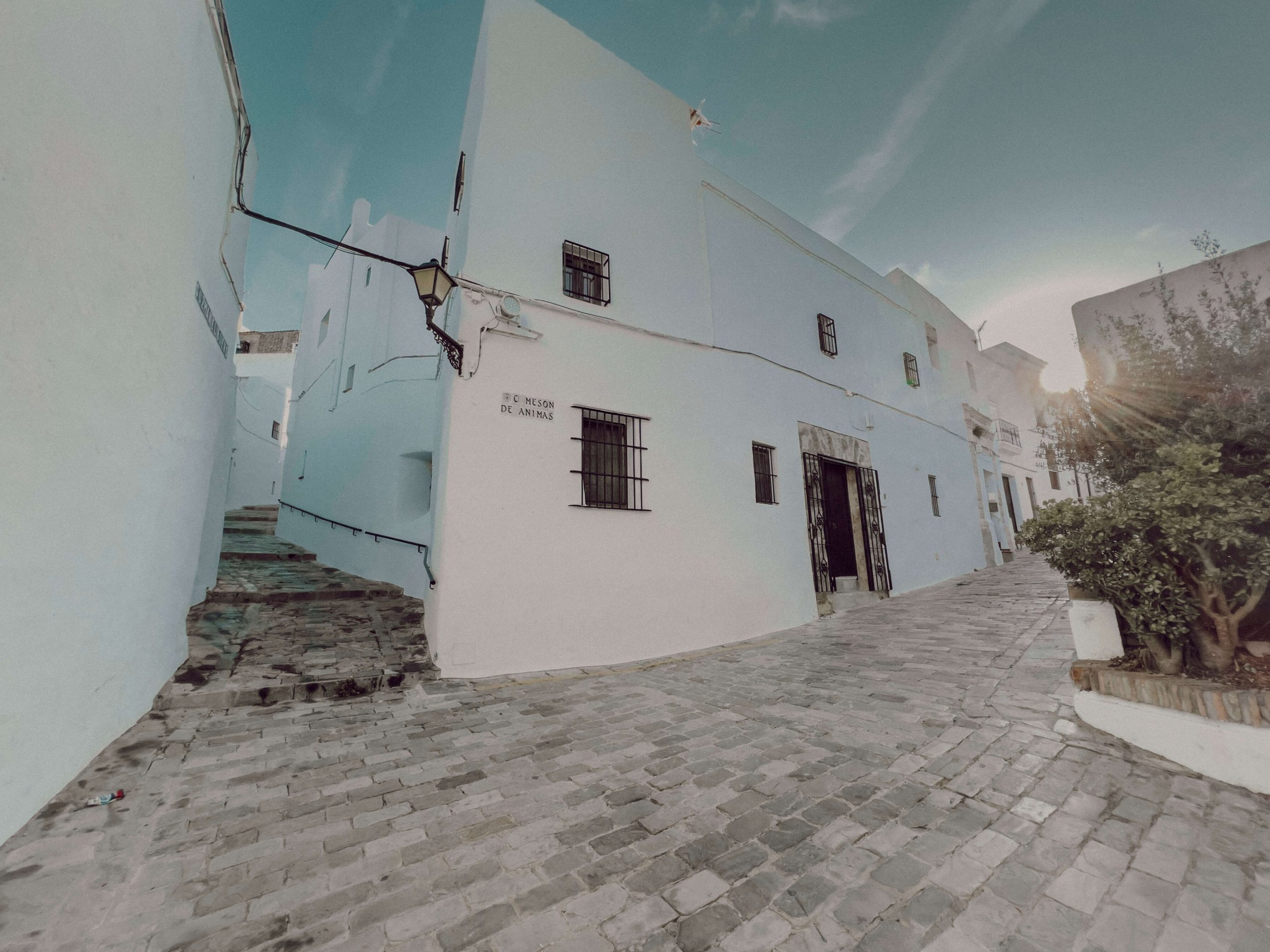 cocotravel travelbirds vejer 39 scaled cocotravel travelbirds vejer 39 scaled