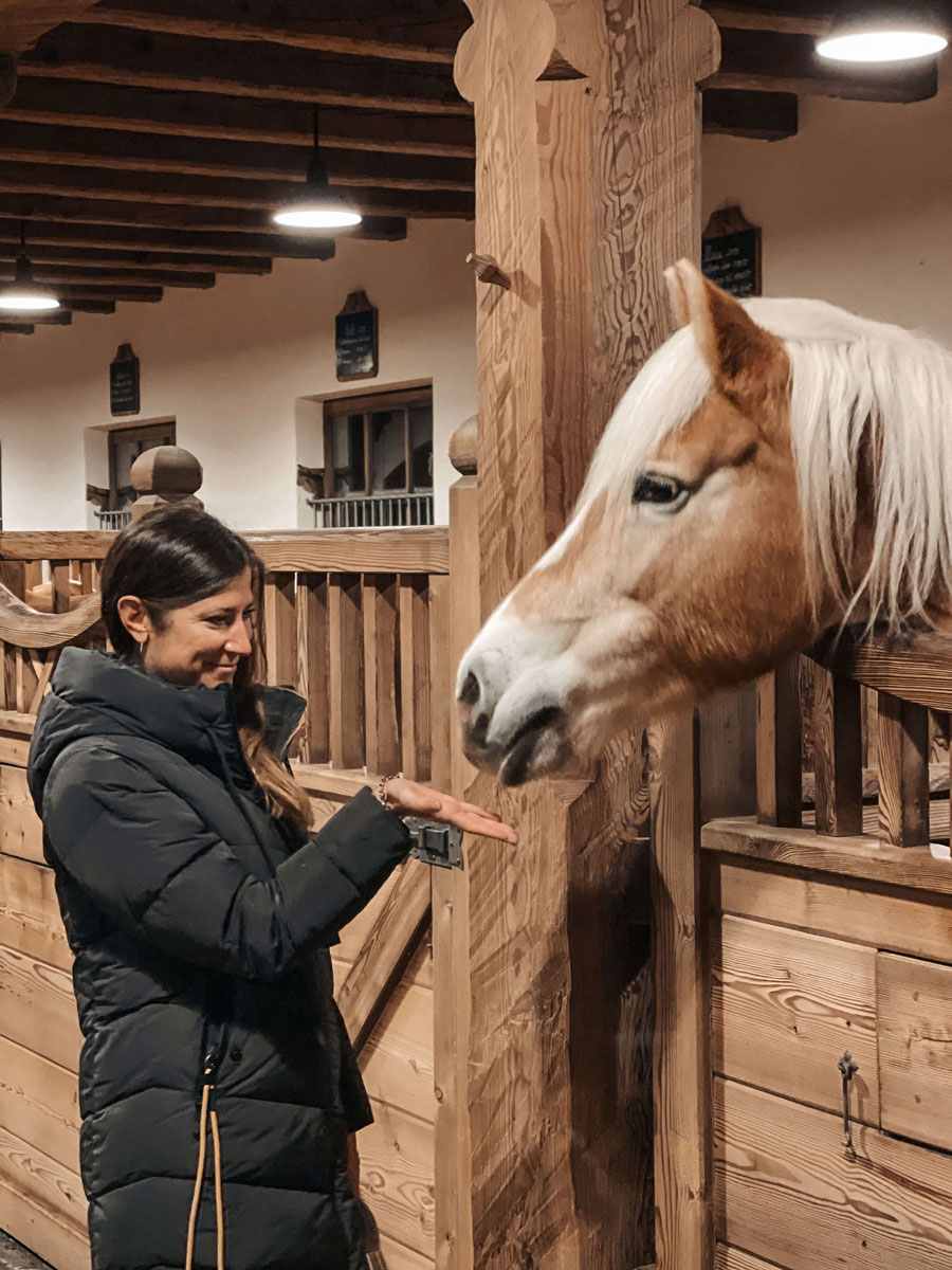 Winterstellgut Pferd4 min