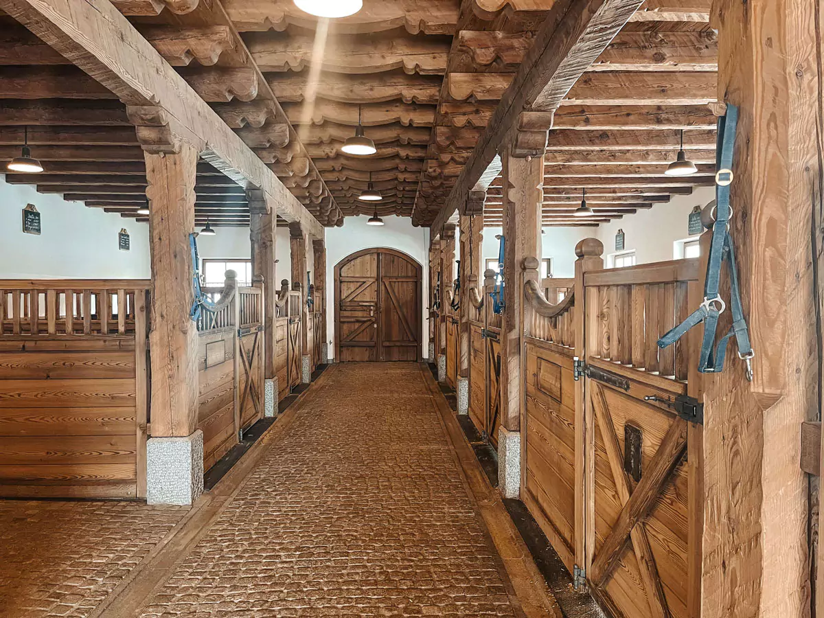 Winterstellgut Schnaps 2