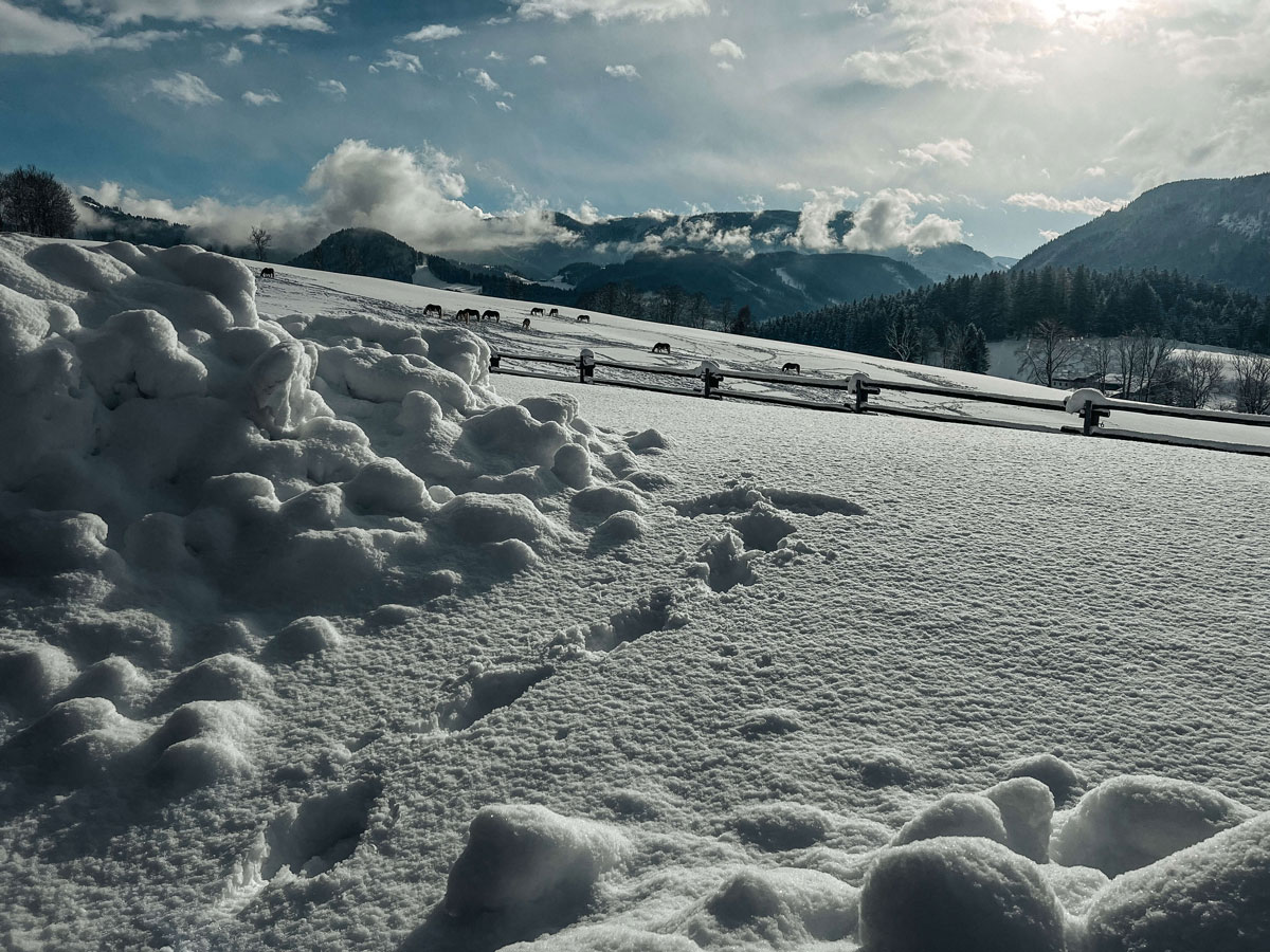 Winterstellgut Schnee2