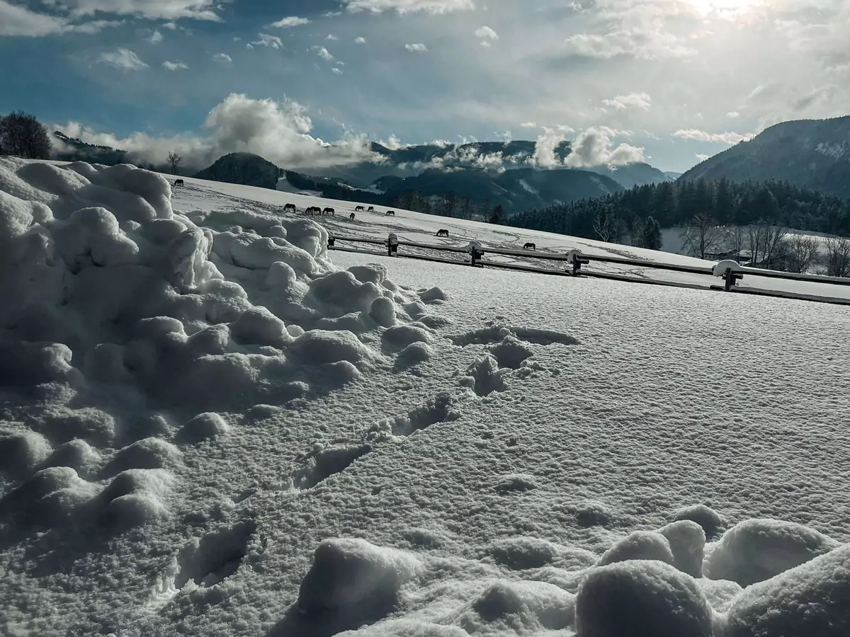 Winterstellgut Schnee2