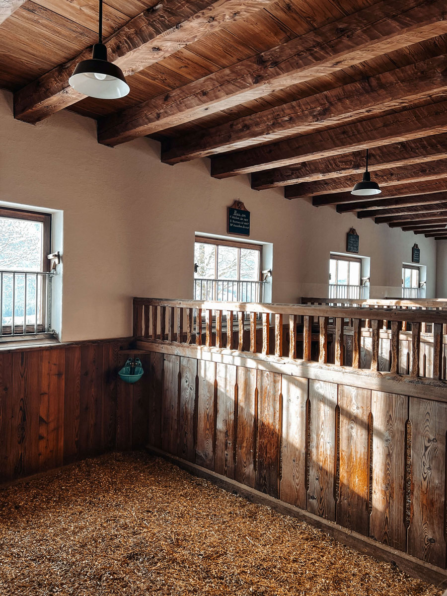 Winterstellgut Stall6