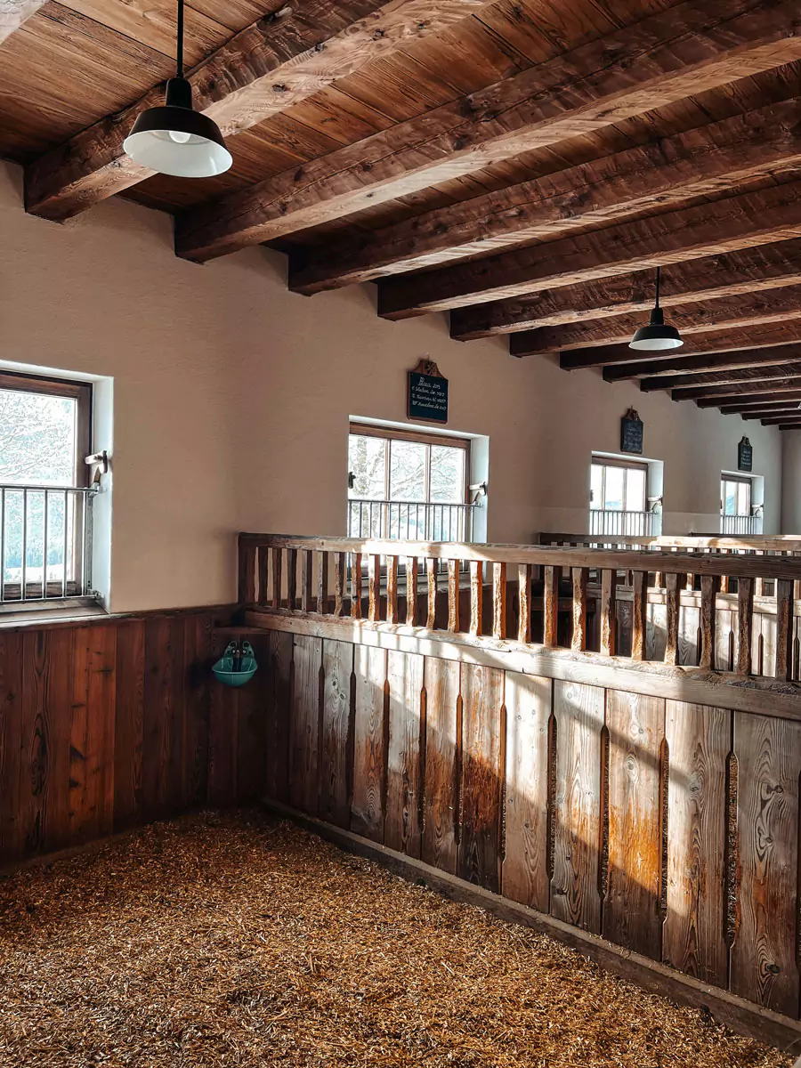 Winterstellgut Stall6