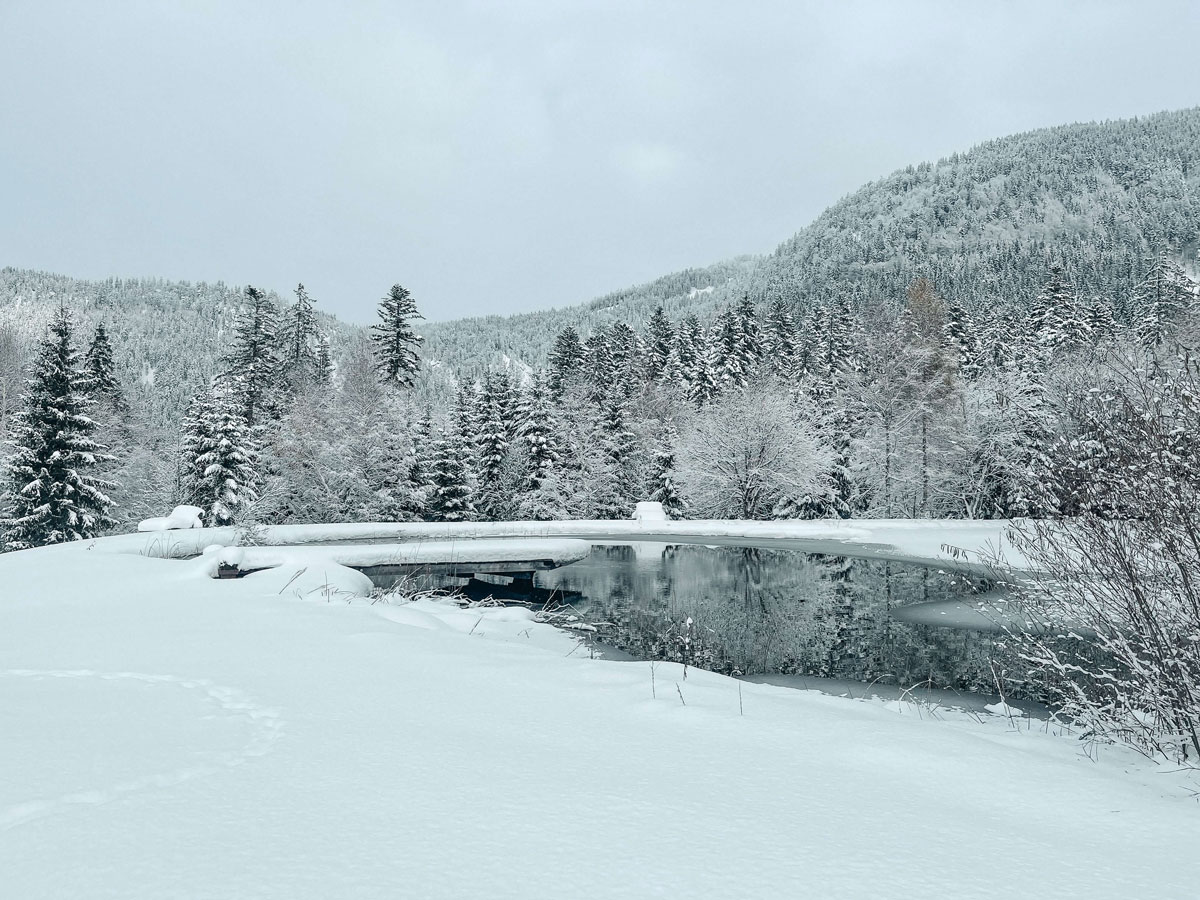 Winterstellgut Teich