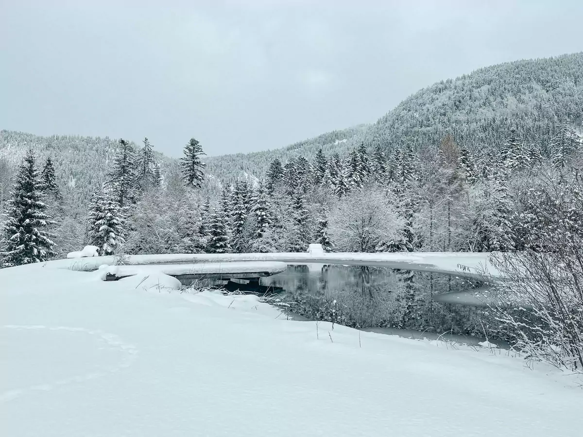 Winterstellgut Teich