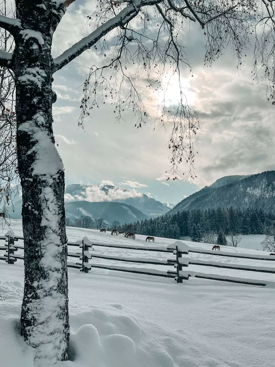 Winterstellgut aussen min