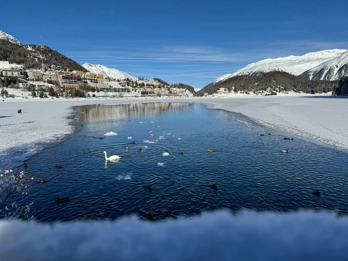 cocotravel grace st moritz see cocotravel grace st moritz see