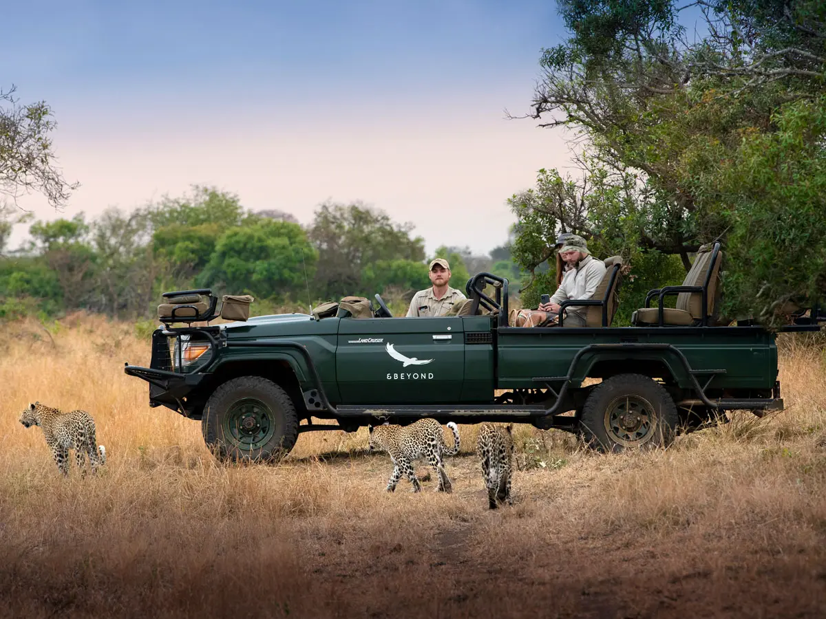 andBeyond Phinda Forest Lodge Game Drive 3