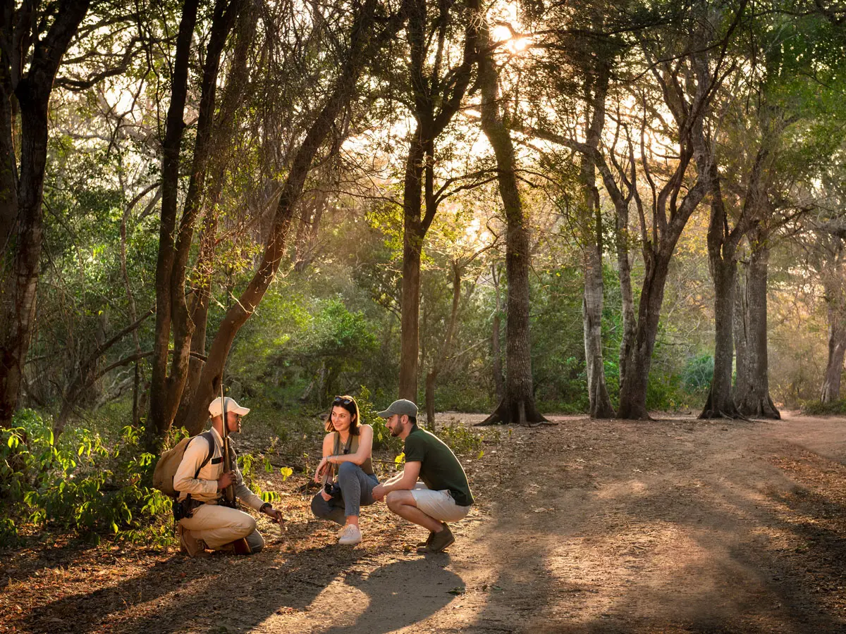 andBeyond Phinda Forest Lodge Walking Safari 2