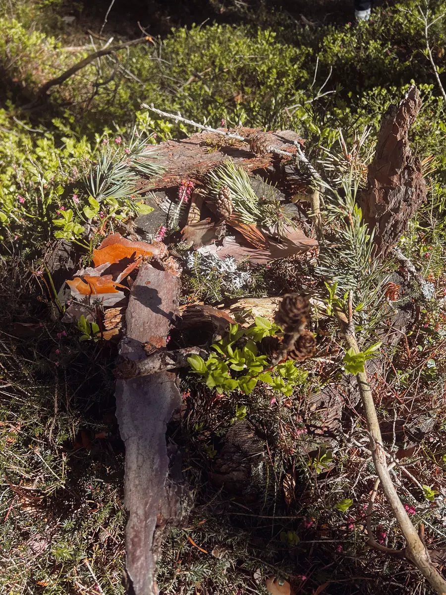 AdlerLodgeRitten Waldbaden Mandala2 AdlerLodgeRitten Waldbaden Mandala2