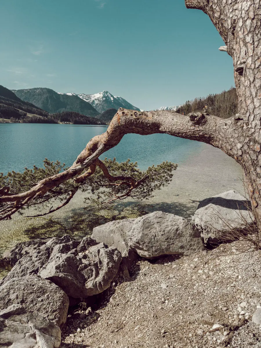 Tauroa Seehotel Grundlsee Radtour 2 Tauroa Seehotel Grundlsee Radtour 2