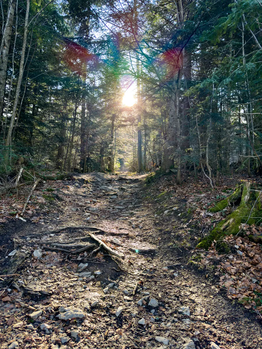 Tauroa Seehotel Grundlsee Tressensteinwarte 3 Tauroa Seehotel Grundlsee Tressensteinwarte 3