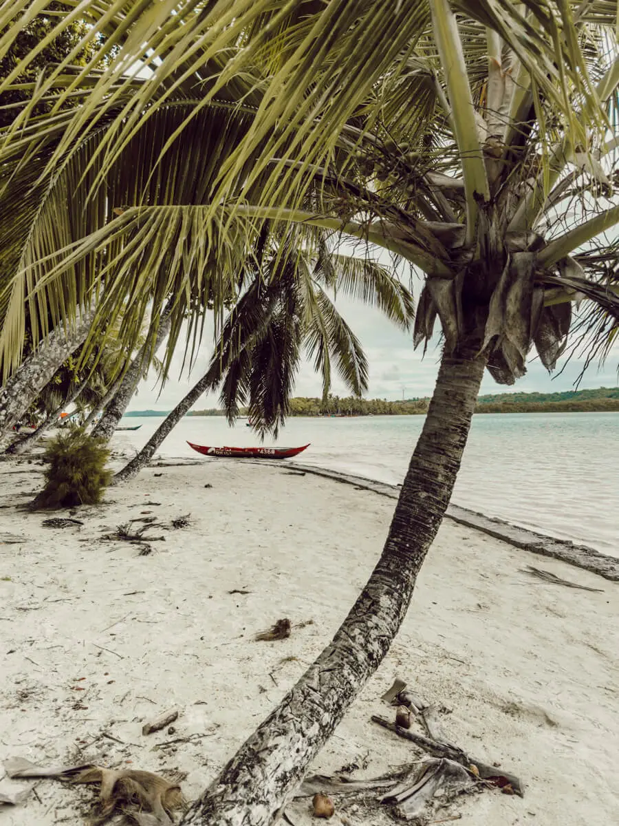 COCOtravel 2023 Ponant Madagascar IleAuxNattes 2 COCOtravel 2023 Ponant Madagascar IleAuxNattes 2