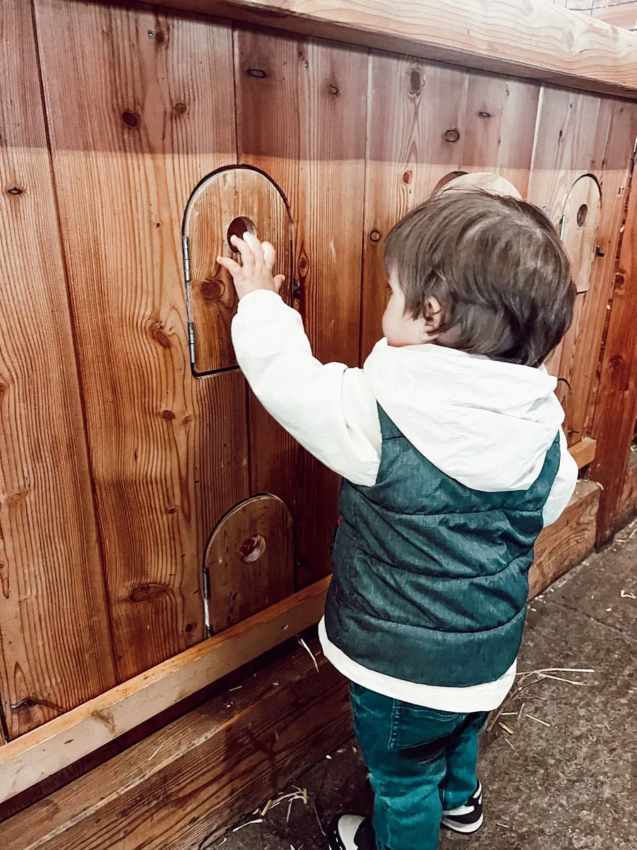 COCOtravel Leogang Puradies Stall Eierholen