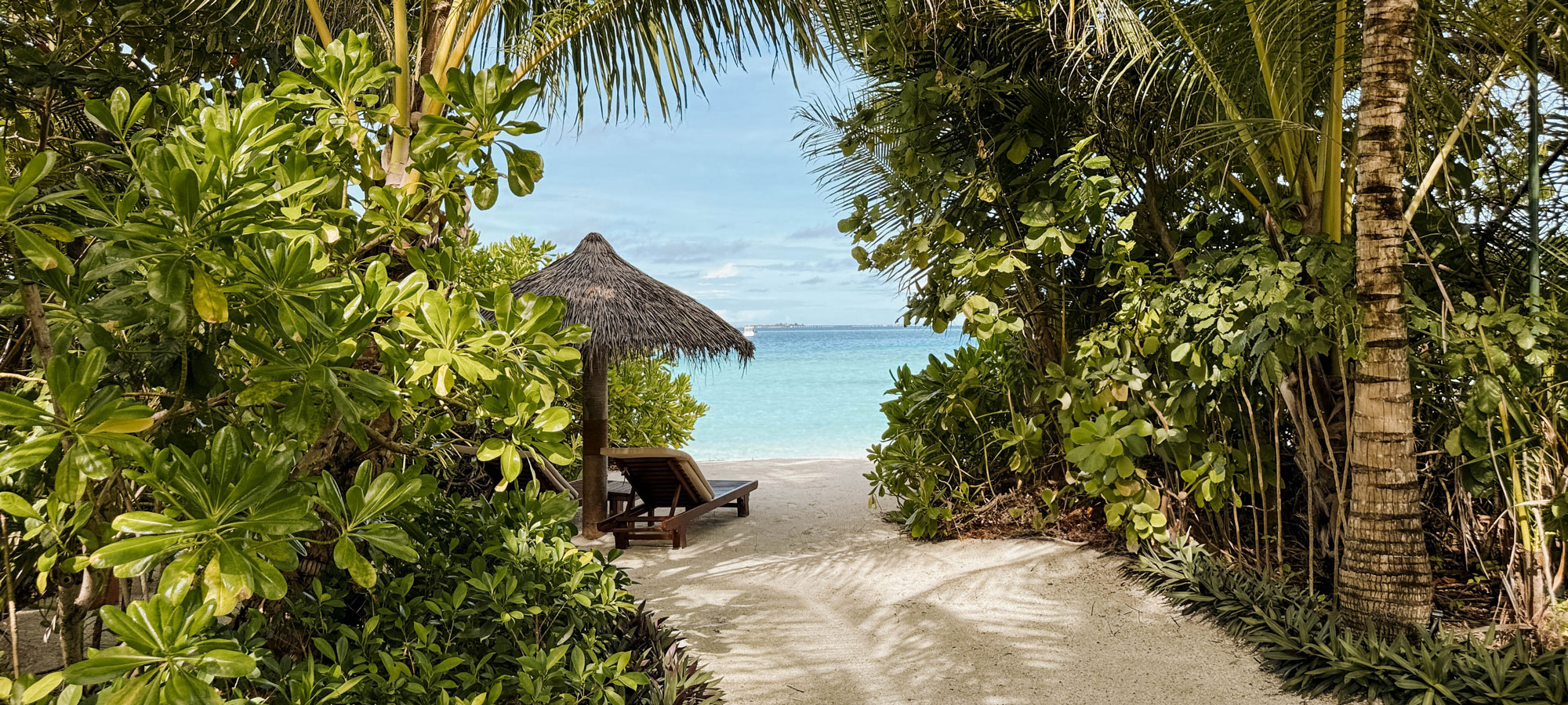 Foto 16.04.24 09 07 47 1