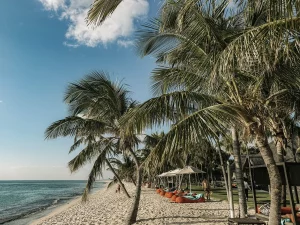 COCOtravel Beachcomber Dinarobin Beach 5