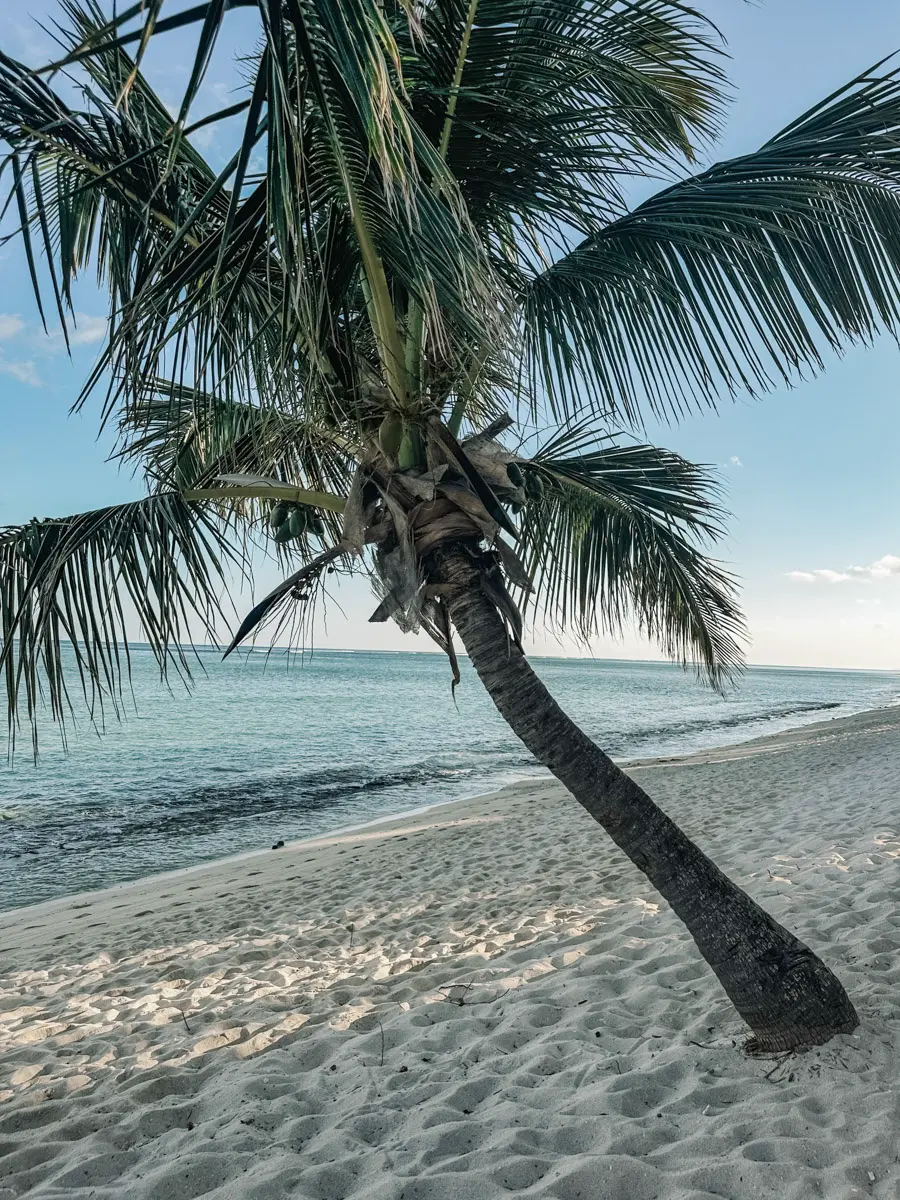 COCOtravel Beachcomber Dinarobin Beach 6 COCOtravel Beachcomber Dinarobin Beach 6