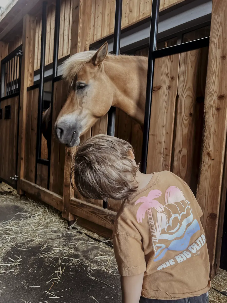 COCOtravel Moargut Sommer Pferde