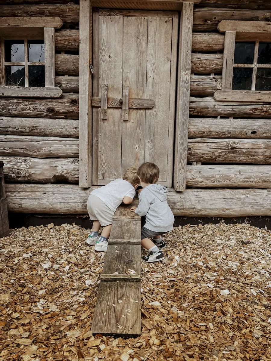 COCOtravel Moargut Sommer Streichelzoo 10