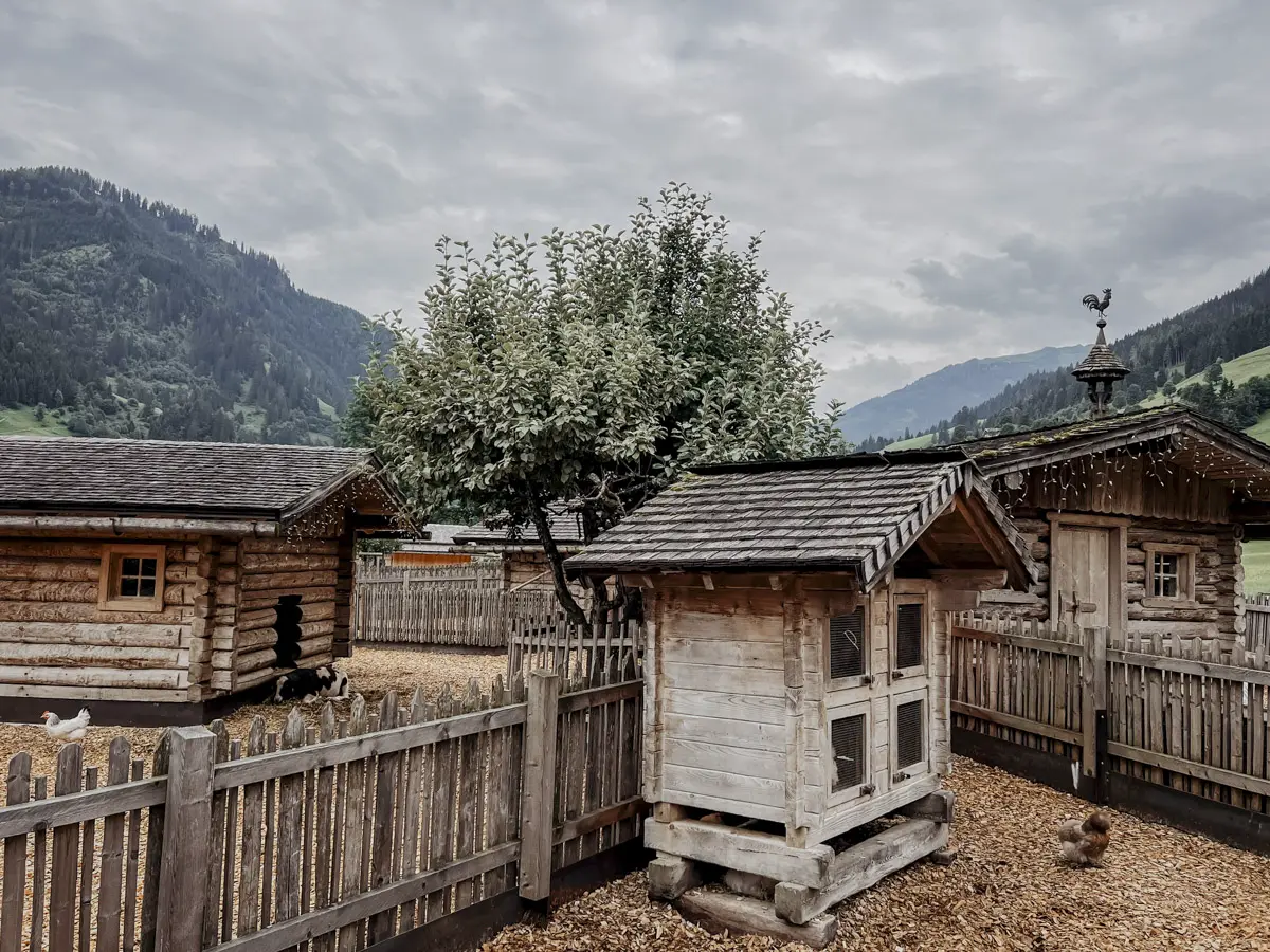 COCOtravel Moargut Sommer Streichelzoo 13