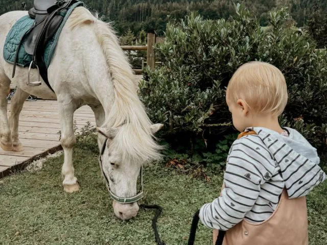 COCOtravel PostFamilyResort Ponyreiten 1