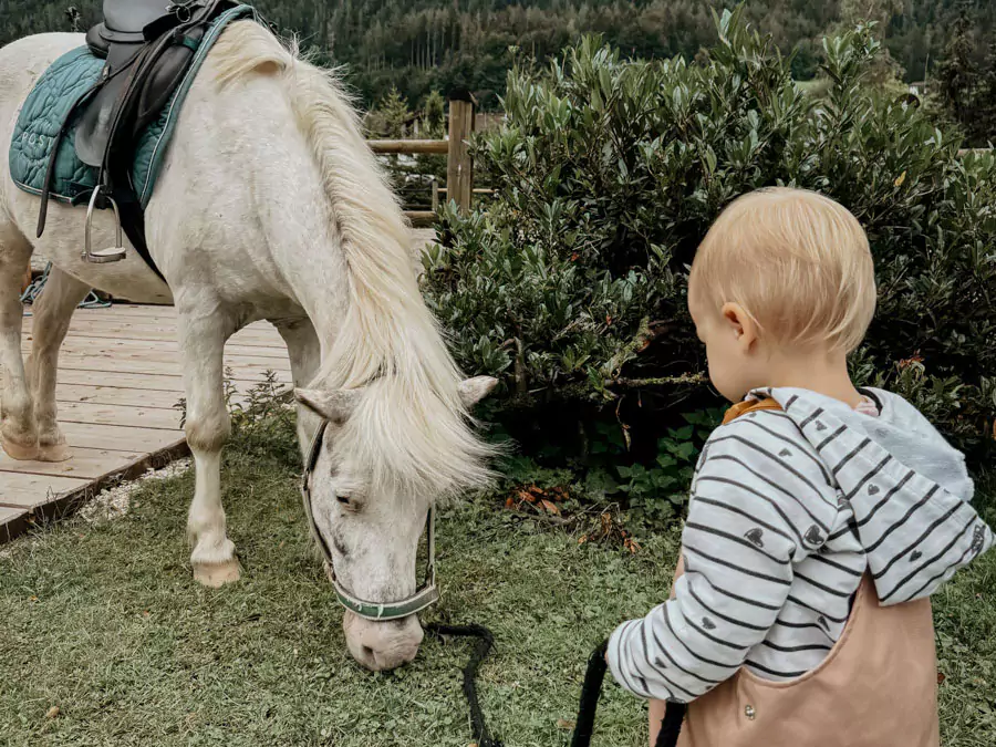 COCOtravel PostFamilyResort Ponyreiten 1