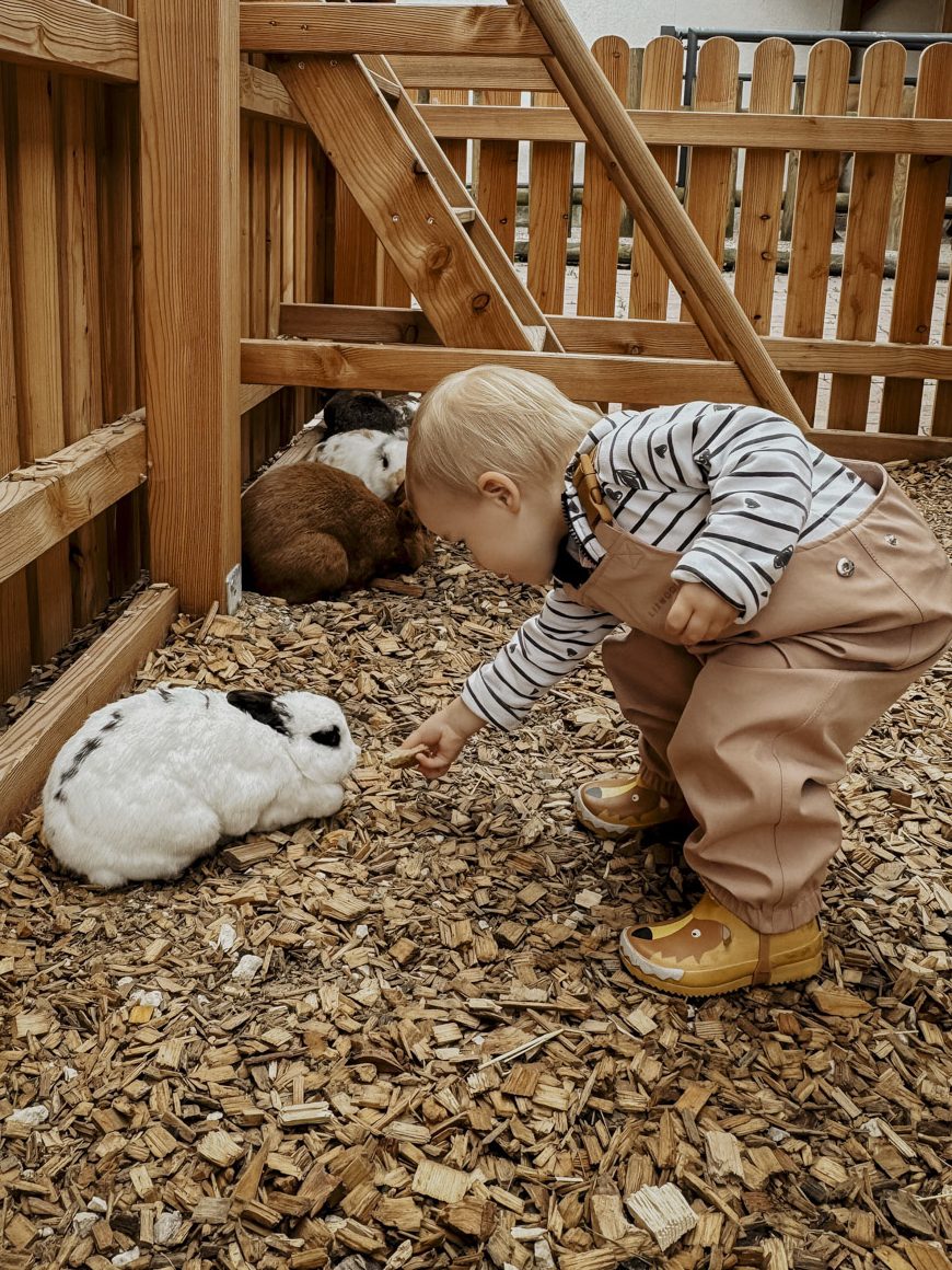 COCOtravel PostFamilyResort Streichelzoo 5 e1727102572304 COCOtravel PostFamilyResort Streichelzoo 5 e1727102572304