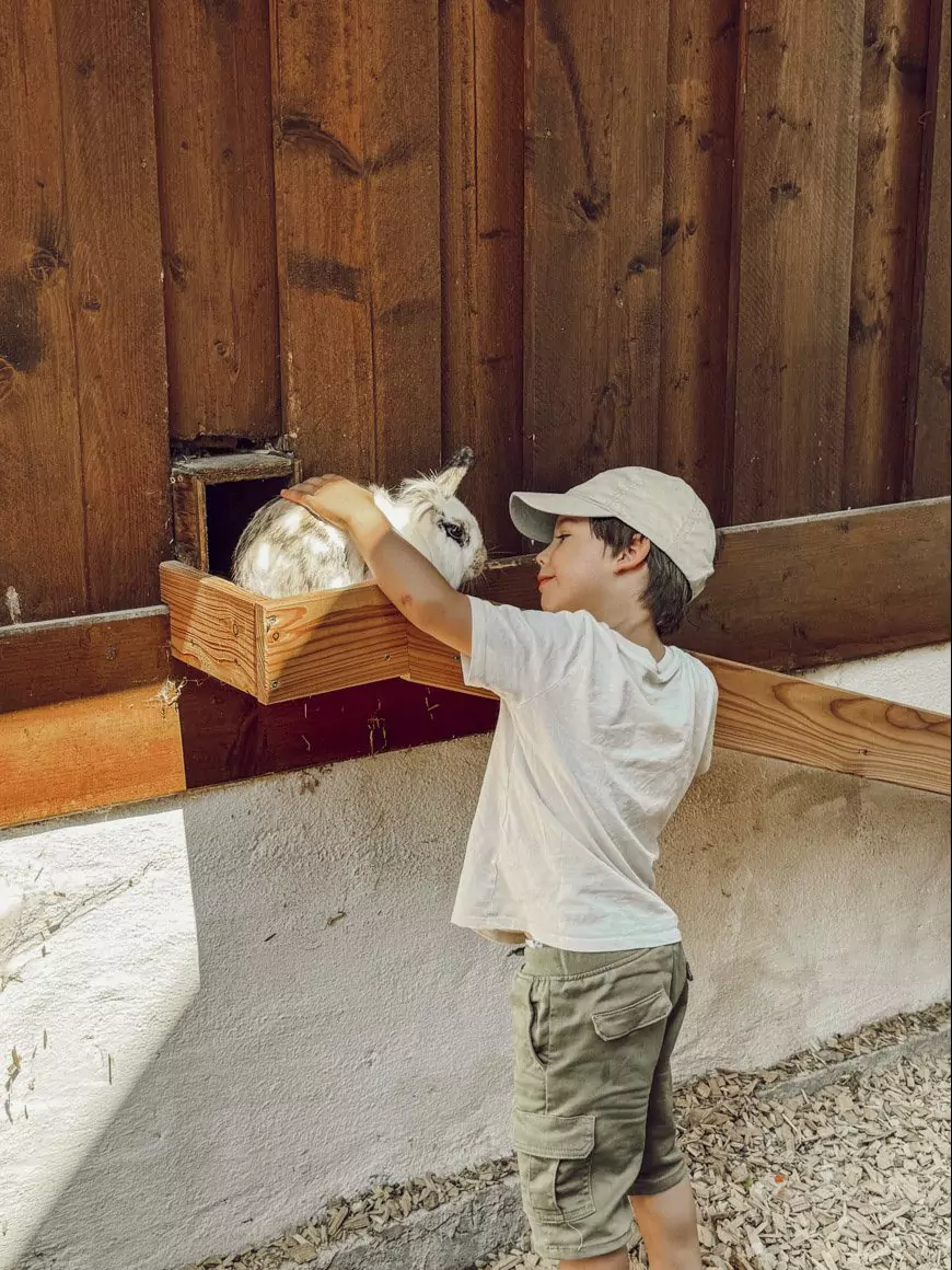 COCOtravel PostFamilyResort Streichelzoo 7 e1727102595348 COCOtravel PostFamilyResort Streichelzoo 7 e1727102595348