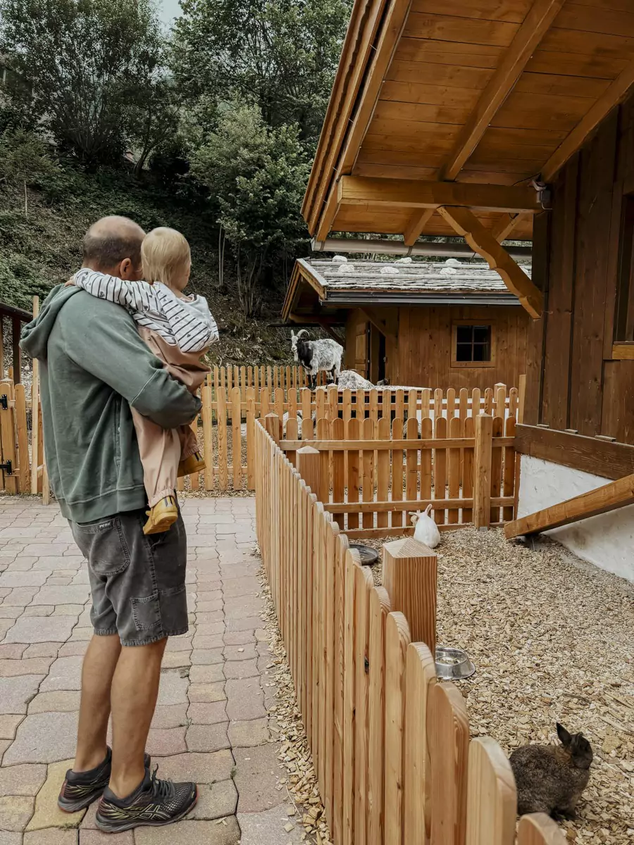 COCOtravel PostFamilyResort Streichelzoo COCOtravel PostFamilyResort Streichelzoo