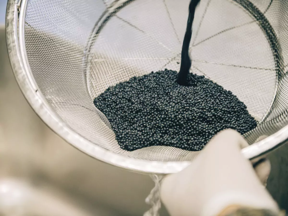 COCOtravel Thingstodoin Salzburg Gruell