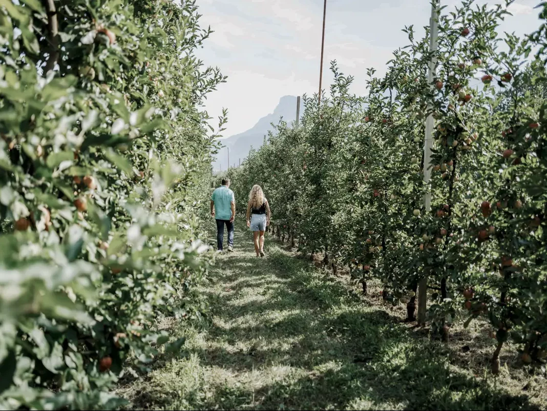 COCOtravel TheinersGarten Suedtirol 7 e1730130845363