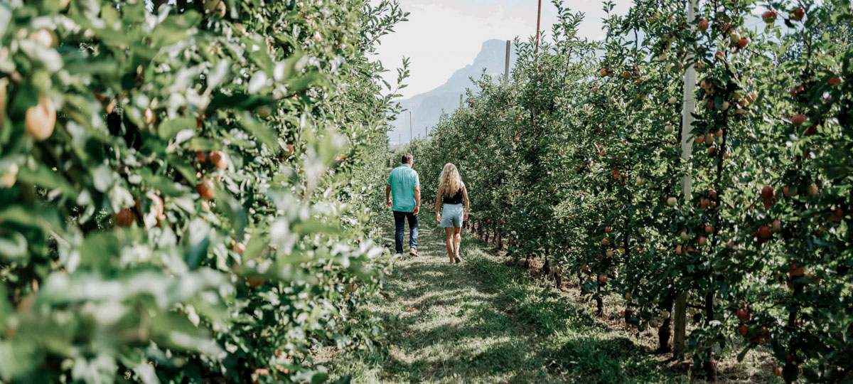 COCOtravel TheinersGarten Suedtirol Header