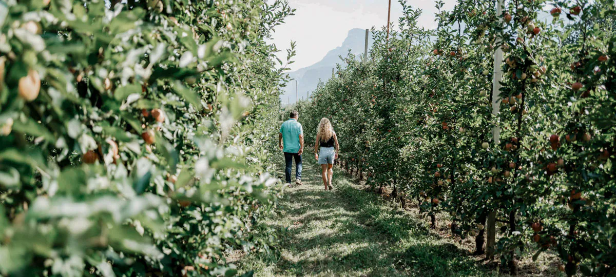 COCOtravel TheinersGarten Suedtirol Header
