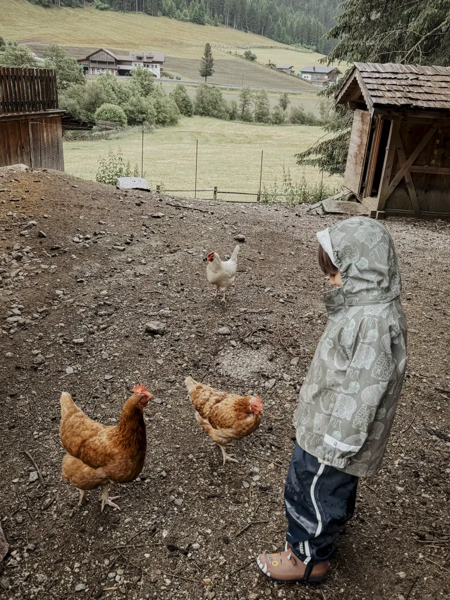 COCOtravel Valsegg Streichelzoo 84