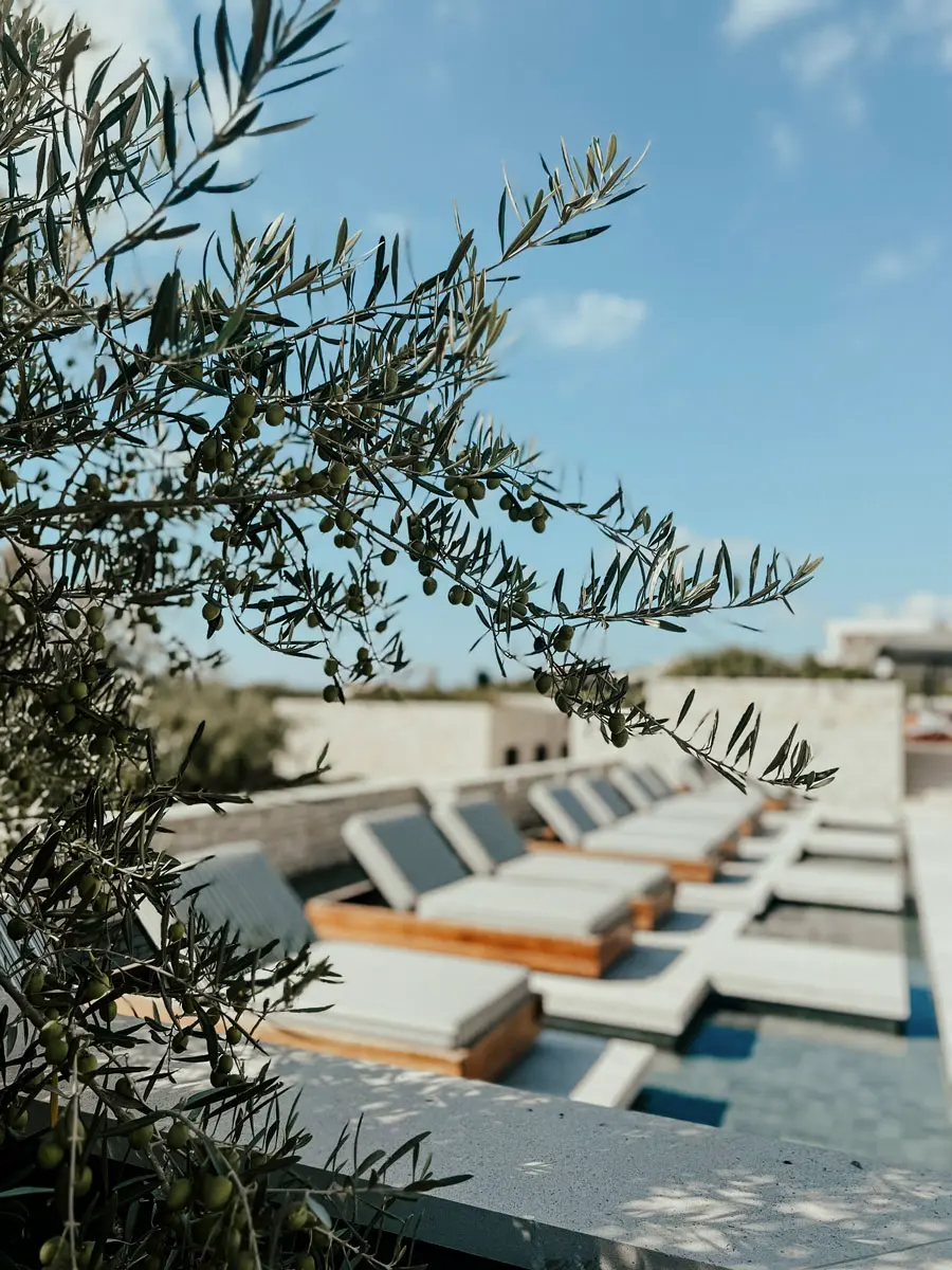 COCOtravel Zypern CapStGeorges Pool 3